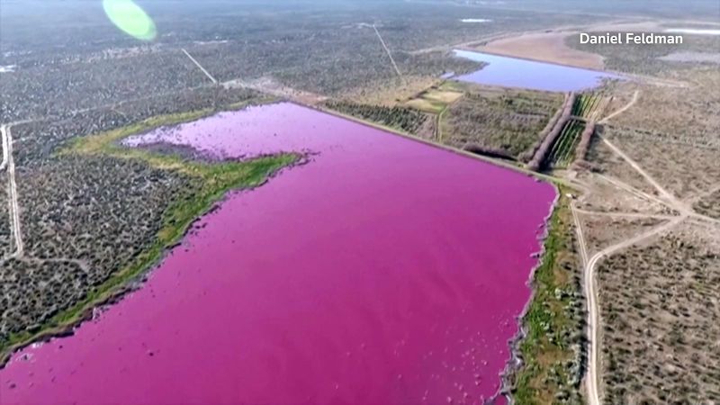 Dvě jezera v Argentině náhle zrůžověla
